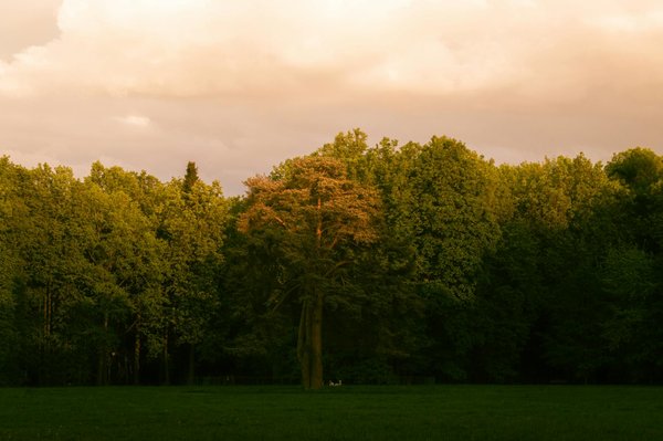 Explorez comment l'hypnothérapie peut apporter un soulagement durable aux douleurs chroniques !